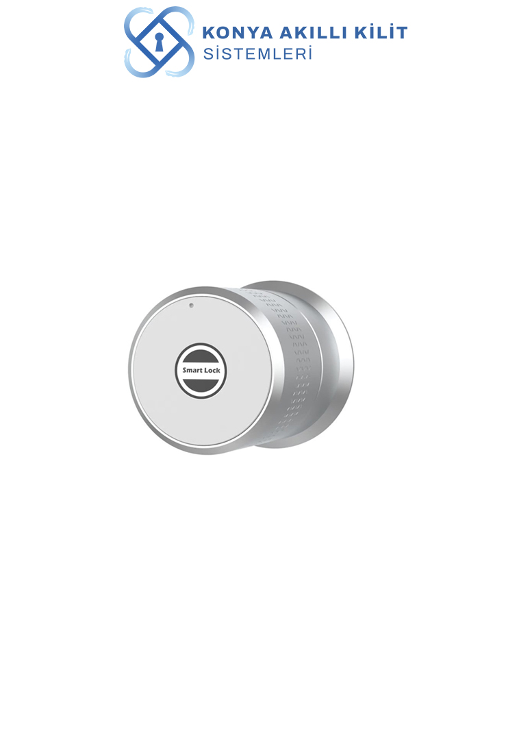 Motorlu Dış Kapı Kilidi (Mobil Uygulamalı)